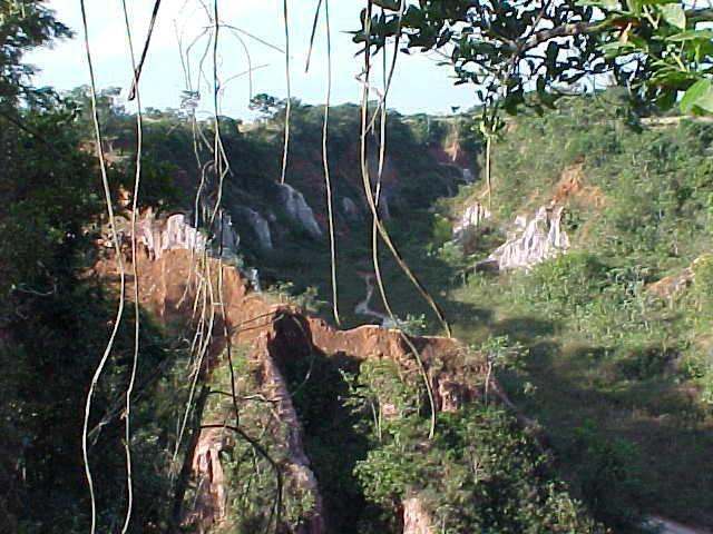 Pousada Fazenda Buracão Mococa Exterior foto