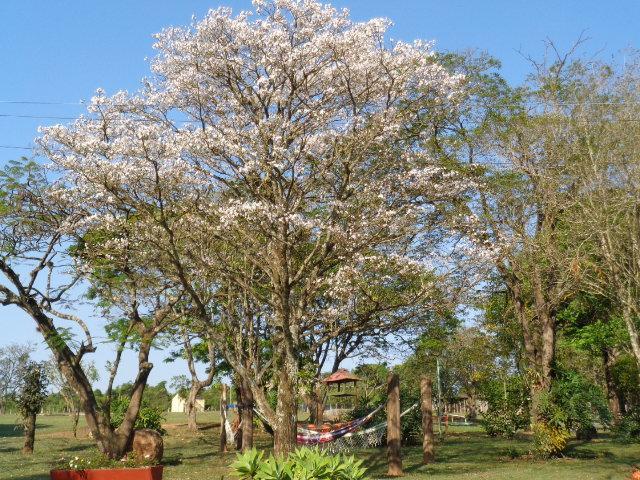 Pousada Fazenda Buracão Mococa Exterior foto